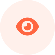 Vision Icon